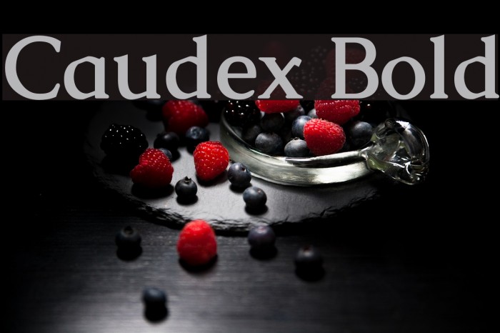 Caudex Bold Font examples