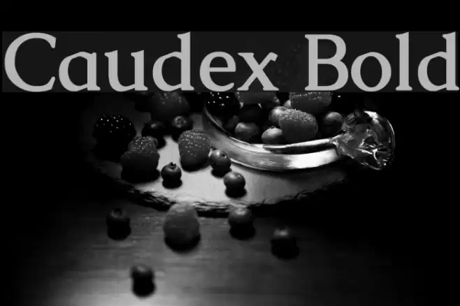 Caudex Bold Font examples