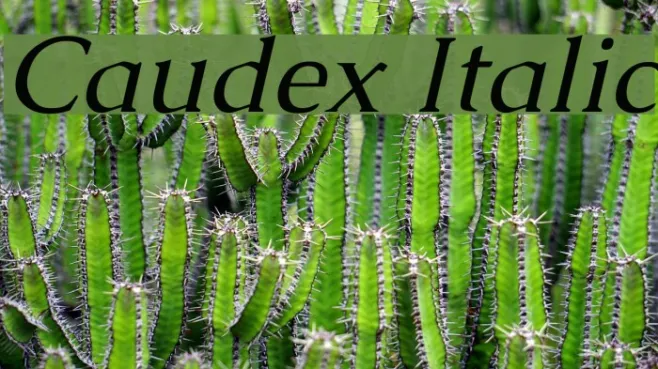 Caudex Italic Example 1