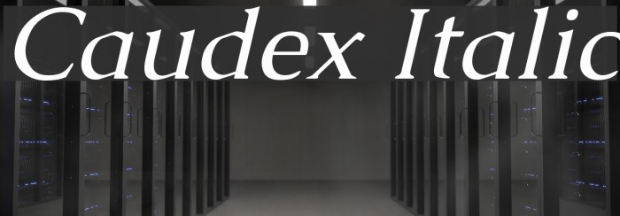Caudex Italic Font examples