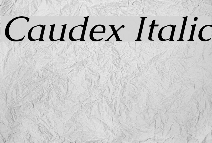 Caudex Italic Font examples