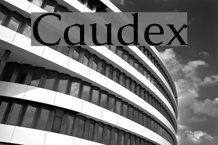 Caudex Font examples