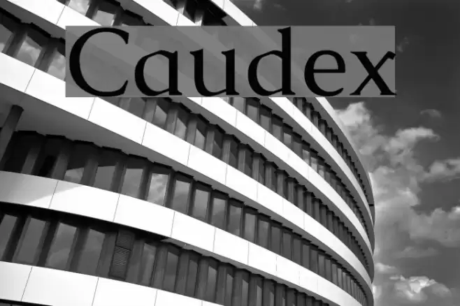 Caudex Schriftart examples