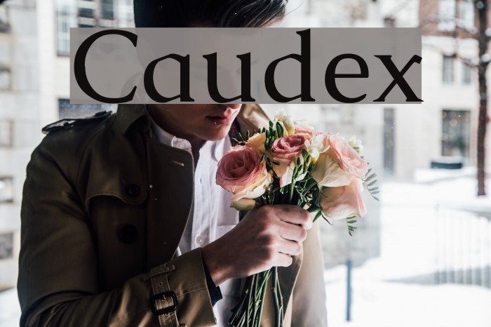 Caudex Font examples