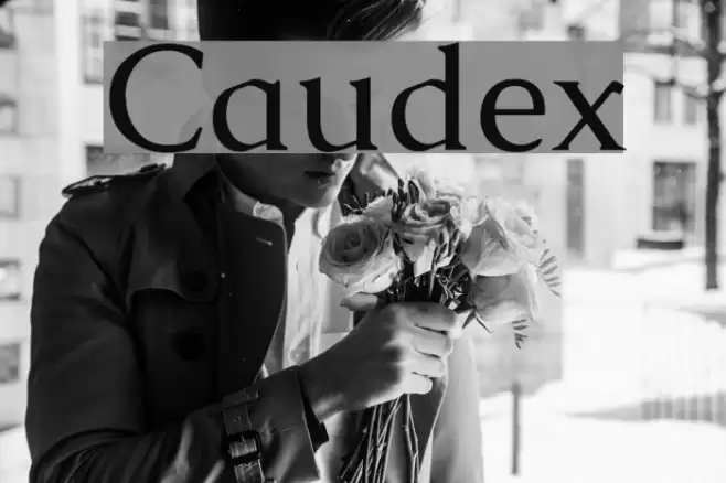Caudex Schriftart examples