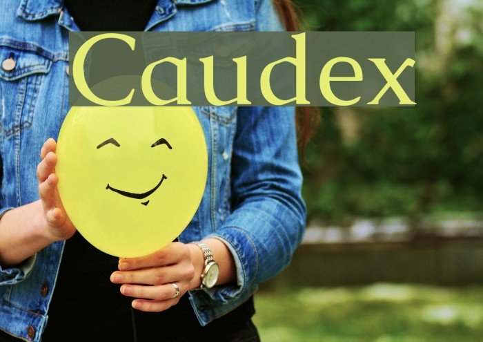 Caudex Font examples