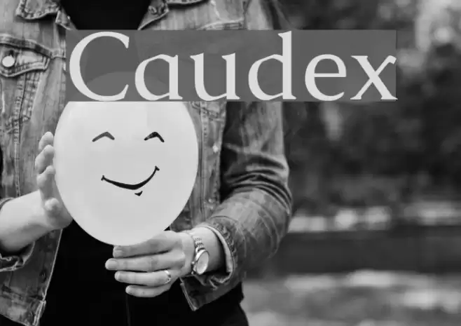 Caudex Schriftart examples