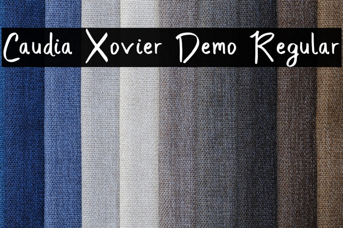 Caudia Xovier Demo Regular Example 1