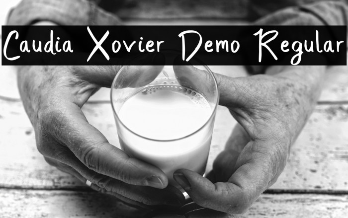 Caudia Xovier Demo Regular Example 2