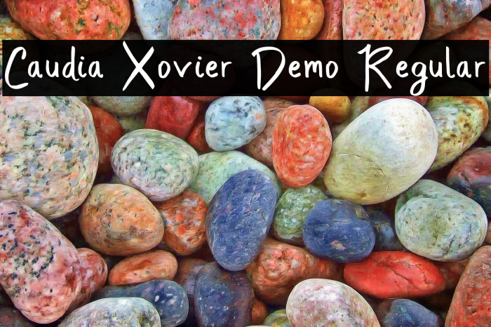 Caudia Xovier Demo Regular Example 3