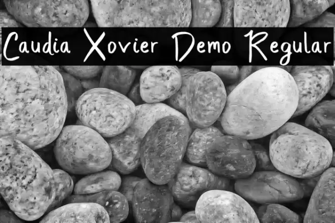 Caudia Xovier Demo Regular フォント examples