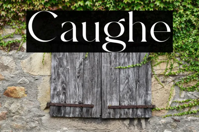 Caughe Example 1