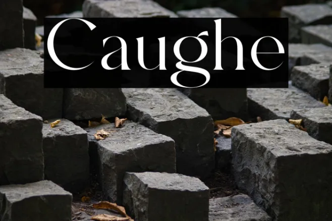 Caughe Example 3