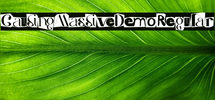 Causing Massive Demo Regular Example 2