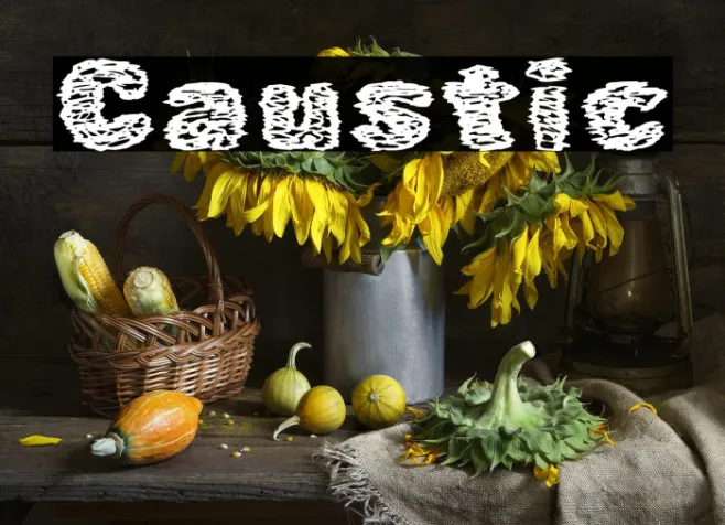 Caustic Example 3