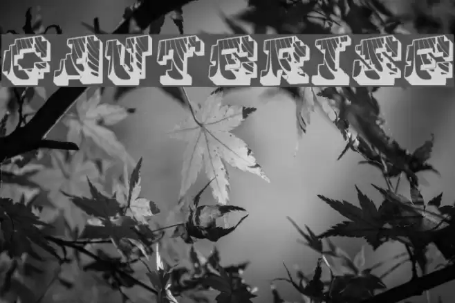 Cauterise Шрифта examples