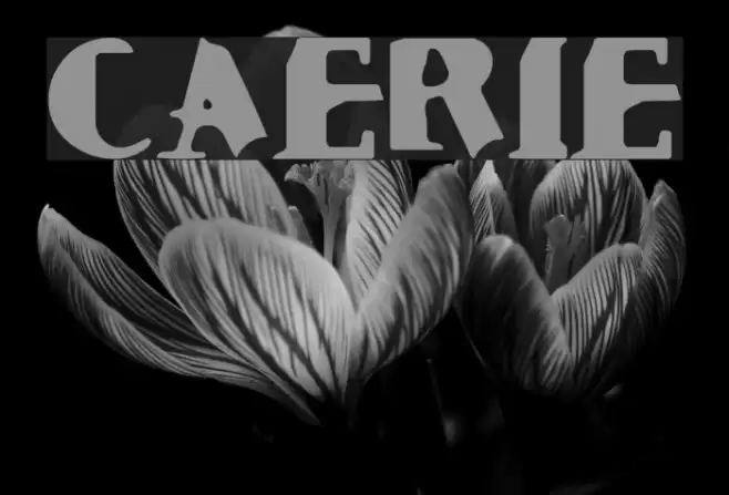 Cauterize Font examples