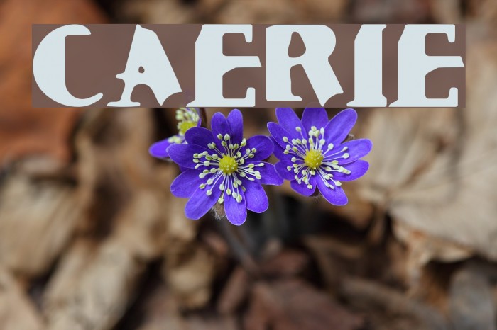 Cauterize Font examples