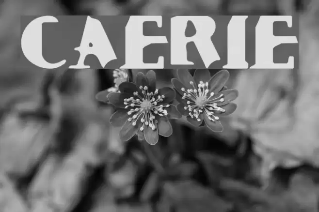 Cauterize Font examples