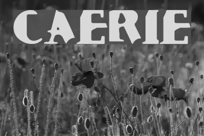 Cauterize Font examples