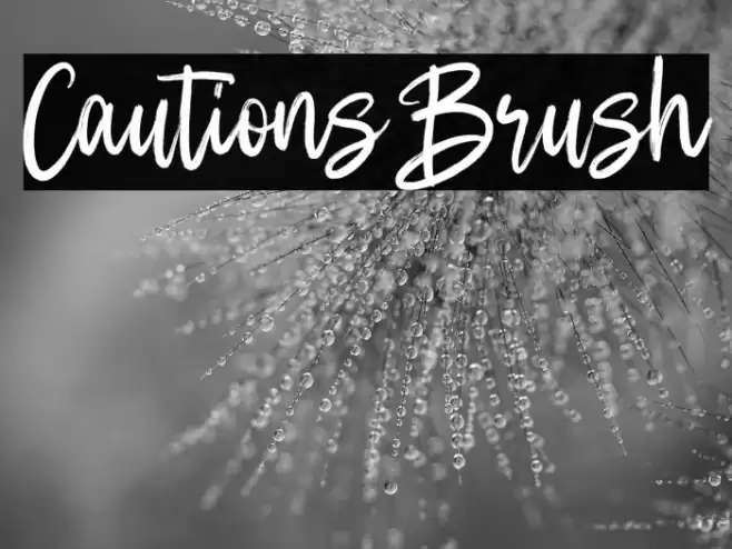 Cautions Brush Font examples