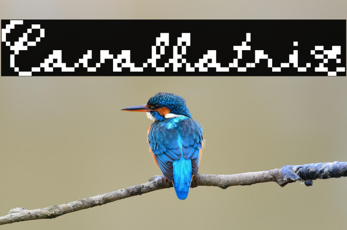 Cavalhatriz Example 1