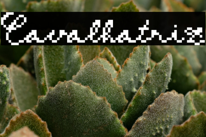 Cavalhatriz Example 2