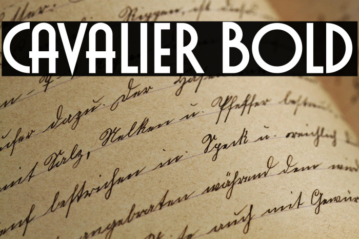 Cavalier Bold Example 1