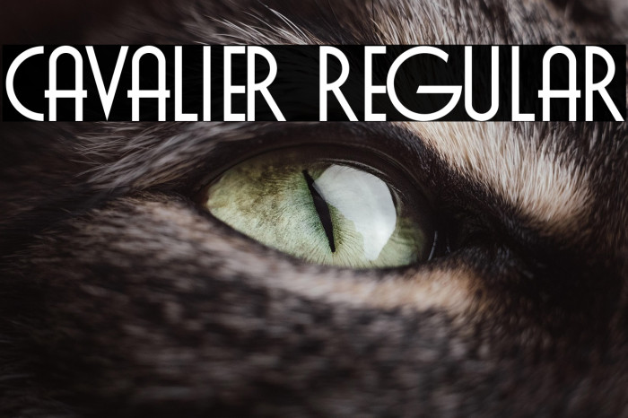 Cavalier Regular Example 1