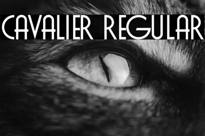 Cavalier Regular Font examples