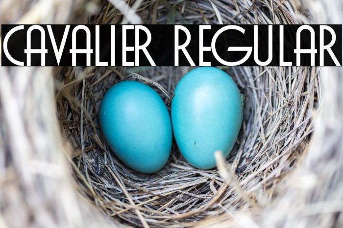 Cavalier Regular Example 2
