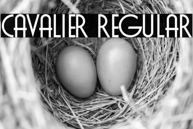 Cavalier Regular Font examples