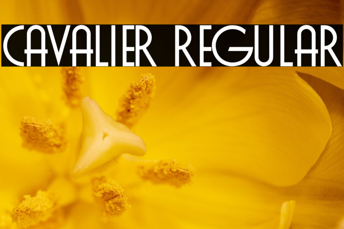 Cavalier Regular Example 3