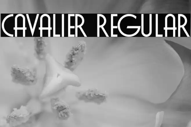 Cavalier Regular Font examples