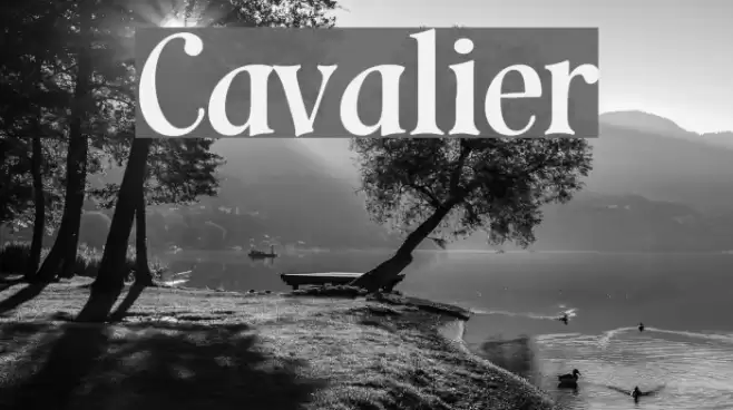 Cavalier خط examples