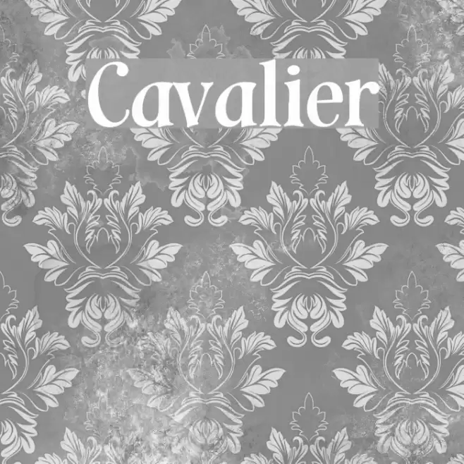 Cavalier خط examples