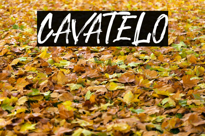 Cavatelo Font examples