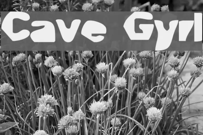 Cave Gyrl Caratteri examples