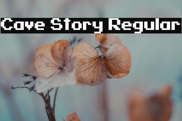 Cave Story Regular Example 1