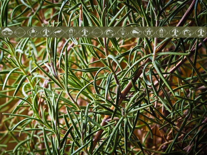 CaveDreamsXtreme Font examples