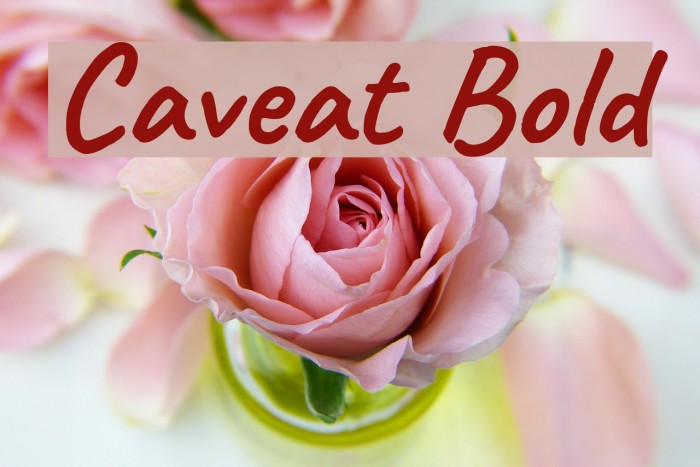 Caveat Bold Font examples