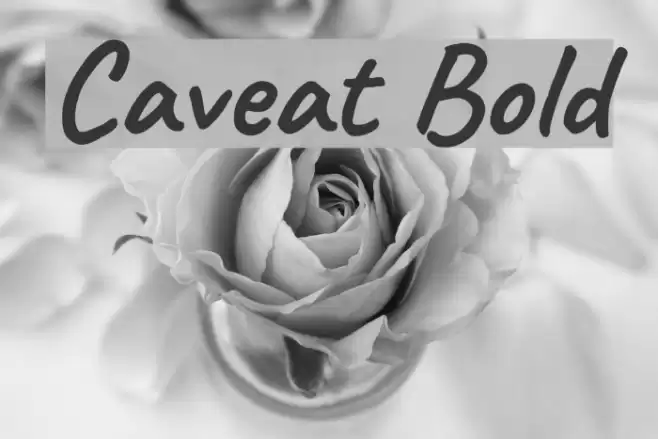 Caveat Bold フォント examples