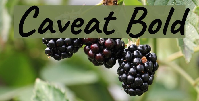 Caveat Bold Font examples