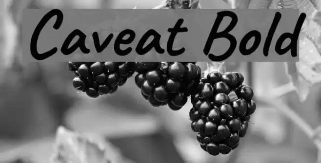 Caveat Bold フォント examples