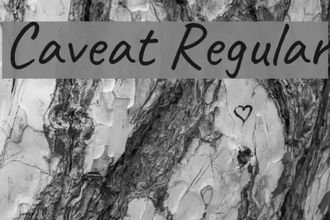 Caveat Regular Font examples