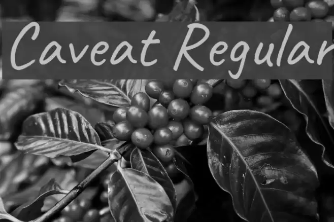 Caveat Regular Font examples