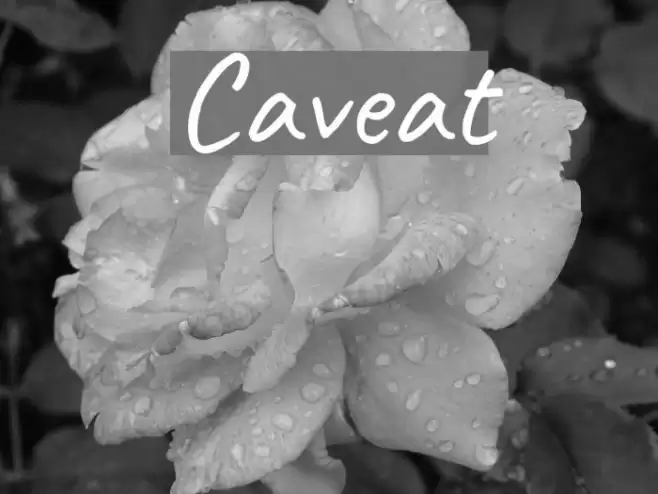 Caveat Font examples
