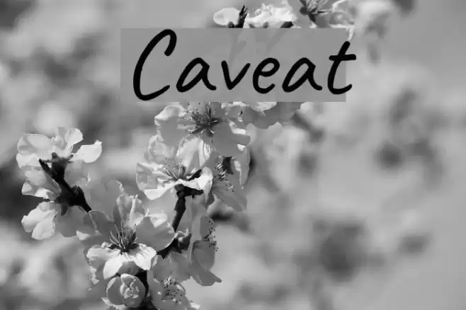 Caveat Font examples