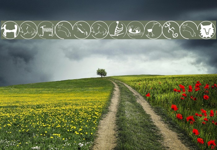 CavebatsOneA Example 1