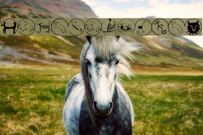 CavebatsOneA Example 3